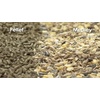image:imageKaytee FortiDiet Pro Health NourishProtect Guinea Pig Food 5 lb25 Pound Pack of 1