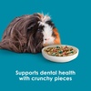 image:imageKaytee FortiDiet Pro Health NourishProtect Guinea Pig Food 5 lb5 Pound Pack of 1