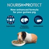 image:imageKaytee FortiDiet Pro Health NourishProtect Guinea Pig Food 5 lb5 Pound Pack of 1
