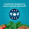image:imageKaytee FortiDiet Pro Health NourishProtect Guinea Pig Food 5 lb8 Pound Pack of 1