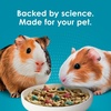 image:imageKaytee FortiDiet Pro Health NourishProtect Guinea Pig Food 5 lb8 Pound Pack of 4