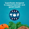 image:imageKaytee FortiDiet Pro Health NourishProtect Hamster Food amp Gerbil Food3 Pound Pack of 1