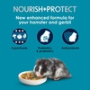 image:imageKaytee FortiDiet Pro Health NourishProtect Hamster Food amp Gerbil Food3 Pound Pack of 1
