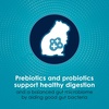 image:imageKaytee FortiDiet Pro Health NourishProtect Hamster Food amp Gerbil Food3 Pound Pack of 1