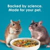 image:imageKaytee FortiDiet Pro Health NourishProtect Hamster Food amp Gerbil Food3 Pound Pack of 1