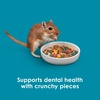image:imageKaytee FortiDiet Pro Health NourishProtect Hamster Food amp Gerbil Food3 Pound Pack of 6
