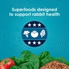 image:imageKaytee FortiDiet Pro Health NourishProtect Juvenile Rabbit Food Comprehensive Nutrition Backed by Science Digestive Health Immune Support 3 Pounds3 Pound Pack of 1