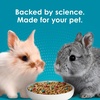 image:imageKaytee FortiDiet Pro Health NourishProtect Juvenile Rabbit Food Comprehensive Nutrition Backed by Science Digestive Health Immune Support 3 Pounds3 Pound Pack of 1
