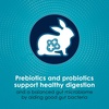 image:imageKaytee FortiDiet Pro Health NourishProtect Juvenile Rabbit Food Comprehensive Nutrition Backed by Science Digestive Health Immune Support 3 Pounds3 Pound Pack of 1