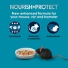 image:imageKaytee FortiDiet Pro Health NourishProtect Mouse Rat amp Hamster Food Comprehensive Nutrition Backed by Science Digestive Health Immune Support 20 Pounds20 Pound Pack of 1