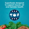 image:imageKaytee FortiDiet Pro Health NourishProtect Mouse Rat amp Hamster Food Comprehensive Nutrition Backed by Science Digestive Health Immune Support 20 Pounds20 Pound Pack of 1