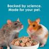 image:imageKaytee FortiDiet Pro Health NourishProtect Mouse Rat amp Hamster Food Comprehensive Nutrition Backed by Science Digestive Health Immune Support 20 Pounds20 Pound Pack of 1