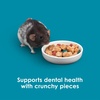 image:imageKaytee FortiDiet Pro Health NourishProtect Mouse Rat amp Hamster Food Comprehensive Nutrition Backed by Science Digestive Health Immune Support 20 Pounds20 Pound Pack of 1