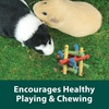 image:imageKaytee Knot Nibbler Chew Toy for Guinea Pigs and Rabbits MediumColor mltiple