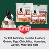 image:imageKaytee Natural Snack with Superfoods For Pet Guinea Pigs Rabbits Hamsters and Other Small Animals Apple amp Carrot 25 Ounces25 Ounce Pack of 2