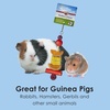 image:imageKaytee Perfect Chew Guinea Pig
