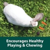 image:imageKaytee Perfect Chews Hanging Wood Chew Toy for Pet Rabbits and Other Small Animals1 Count Pack of 2