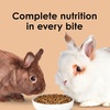 image:imageKaytee Rabbit Food Timothy Complete Rabbit Food Pellets 45 Pounds25 Pound Pack of 1