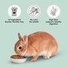 image:imageKaytee Rabbit Food Timothy Complete Rabbit Food Pellets 45 Pounds45 Pound Pack of 1