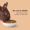 image:imageKaytee Rabbit Food Timothy Complete Rabbit Food Pellets 45 Pounds95 Pound Pack of 1