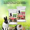 image:imageKaytee Small Animal Treat Stick with Superfoods Strawberry amp Flax Seed 55 oz55 Ounce Pack of 2