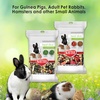 image:imageKaytee Small Animal Treat Stick with Superfoods Strawberry amp Flax Seed 55 oz55 Ounce Pack of 2