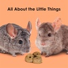 image:imageKaytee Super C Bites Guinea Pig Treats Cranberry 4 OzCranberry and Orange