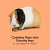 image:imageKaytee Super C Bites Guinea Pig Treats Cranberry 4 OzCranberry and Orange