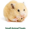 image:imageKaytee Timothy Biscuits Timothy Hay Bunny Treats for Rabbits 4 OzCarrot