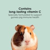 image:imageKaytee Timothy Complete Guinea Pig Food with Timothy Hay 5 Pounds25 Pound Pack of 1
