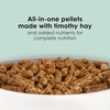 image:imageKaytee Timothy Complete Guinea Pig Food with Timothy Hay 5 Pounds5 Pound Pack of 1