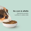 image:imageKaytee Timothy Complete Guinea Pig Food with Timothy Hay 5 Pounds5 Pound Pack of 1