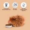 image:imageKaytee Timothy Complete Guinea Pig Food with Timothy Hay 5 Pounds5 Pound Pack of 1