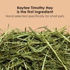 image:imageKaytee Timothy Complete Guinea Pig Food with Timothy Hay 5 Pounds95 Pound Pack of 1