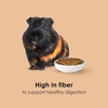image:imageKaytee Timothy Complete Guinea Pig Food with Timothy Hay 5 Pounds95 Pound Pack of 1