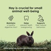 image:imageKaytee Timothy Hay Blend Cubes for Rabbits Guinea Pigs amp ChinchillasHay