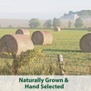 image:imageKaytee Timothy Hay Blend Cubes for Rabbits Guinea Pigs amp ChinchillasHay
