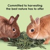 image:imageKaytee Wafer Cut Timothy Hay for Rabbit amp Guinea Pigs 60 Ounce1125 Pound Pack of 1