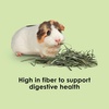 image:imageKaytee Wafer Cut Timothy Hay for Rabbit amp Guinea Pigs 60 Ounce1125 Pound Pack of 1