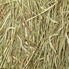 image:imageKaytee Wafer Cut Timothy Hay for Rabbit amp Guinea Pigs 60 Ounce375 Pound Pack of 1