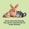 image:imageKaytee Wafer Cut Timothy Hay for Rabbit amp Guinea Pigs 60 Ounce375 Pound Pack of 1